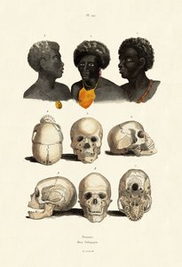 Etiyopyalılar, 1833-39 by French School